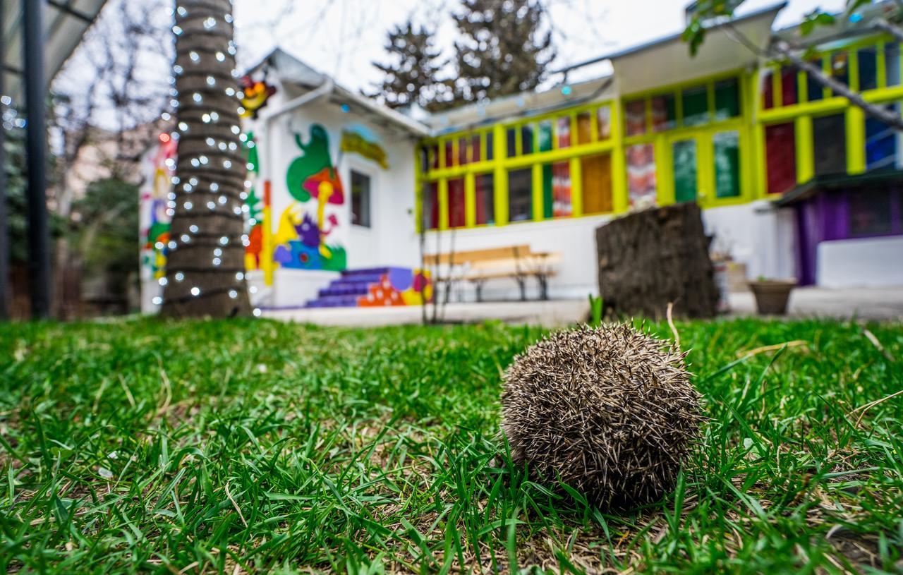Zgarbi Hostel ティビリシ エクステリア 写真